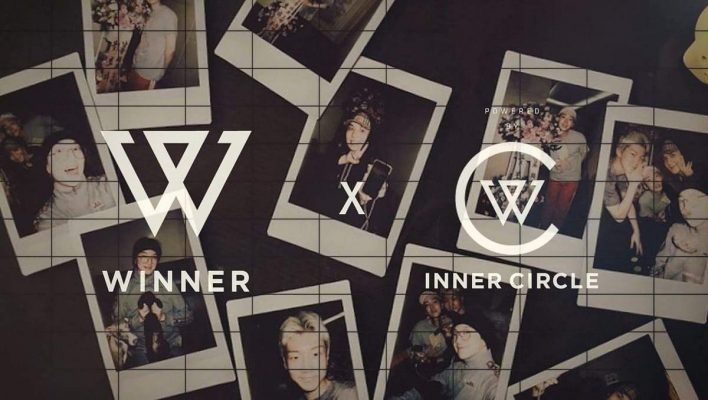 Inner Circle - Fandom Winner, Những Chàng Trai Chuẩn Con Rể Việt, Vựa Muối Quốc Dân