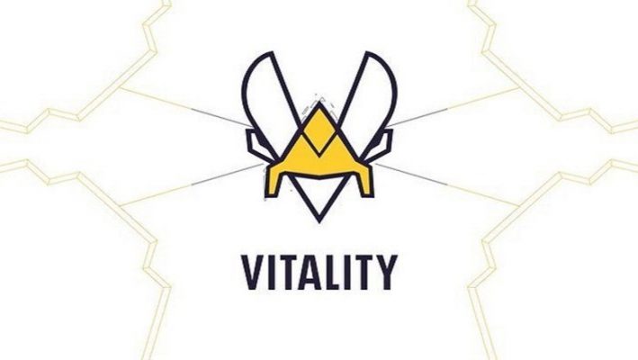 LEC: Team Vitality có HLV trưởng mới ở mùa giải 2022? - Ảnh 1