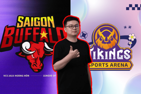 Vikings Esports là đội tuyển do Vikings Gaming lập nên và mua lại đội hình cũng như suất của Saigon Buffalo