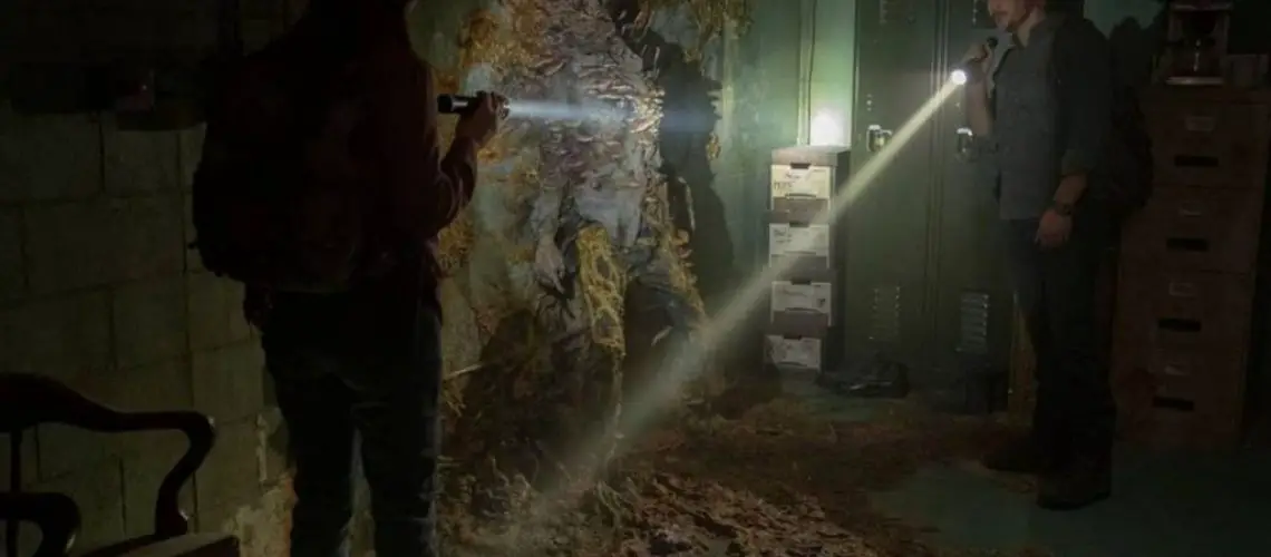 Giải mã loài nấm ký sinh có thể biến vật chủ thành ‘zombie’ đã truyền cảm hứng cho The Last Of Us - Ảnh 1.