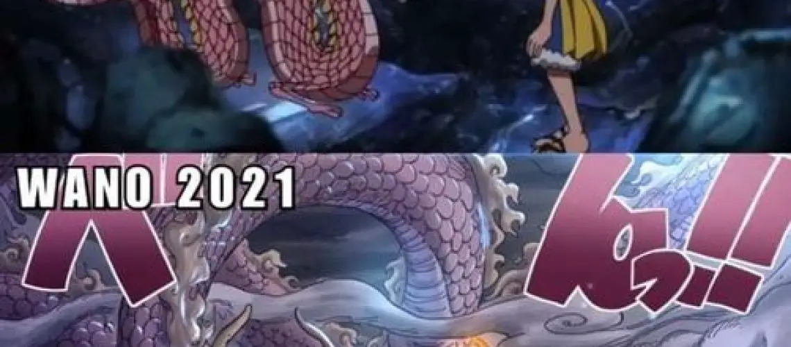 One Piece: Phải mất tận 7 năm con lươn màu đào Momonosuke mới dậy thì thành công - Ảnh 1.